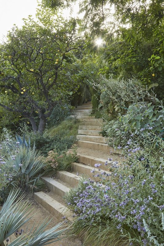 Mediterranean Garden Design