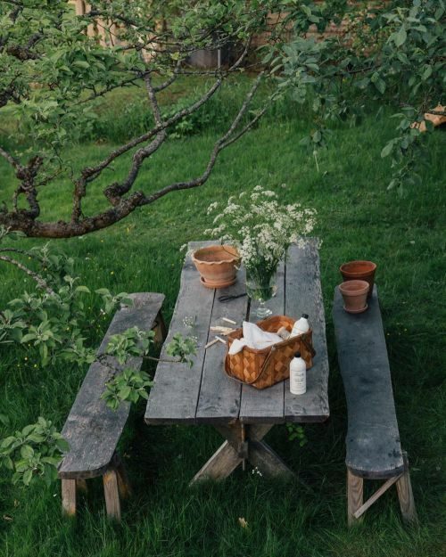 Mediterranean Garden Design