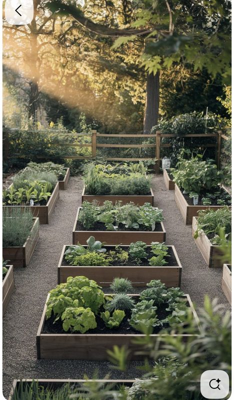 Mediterranean Garden Design