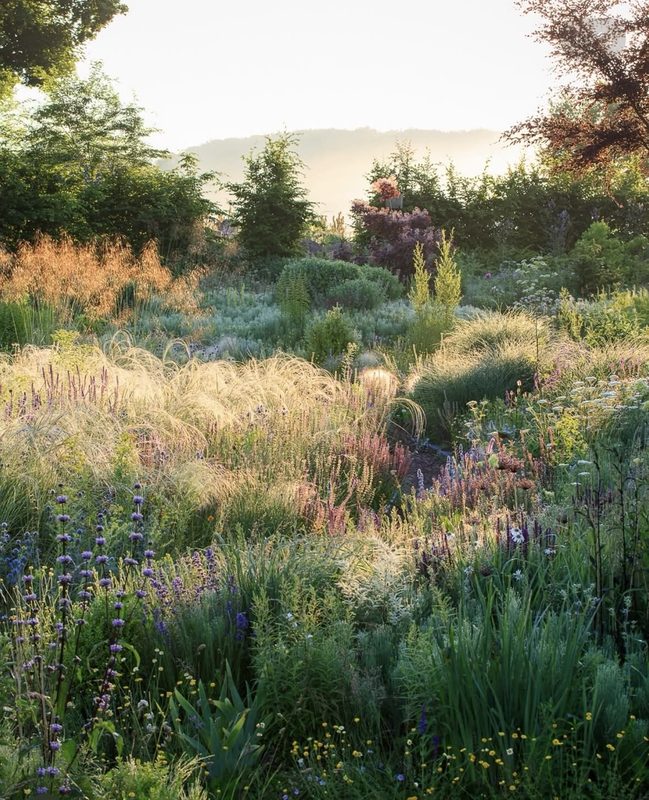 Mediterranean Garden Design