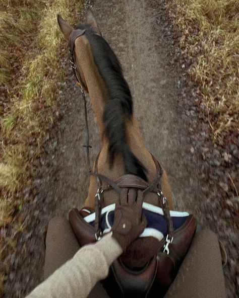 Travel · horse trail