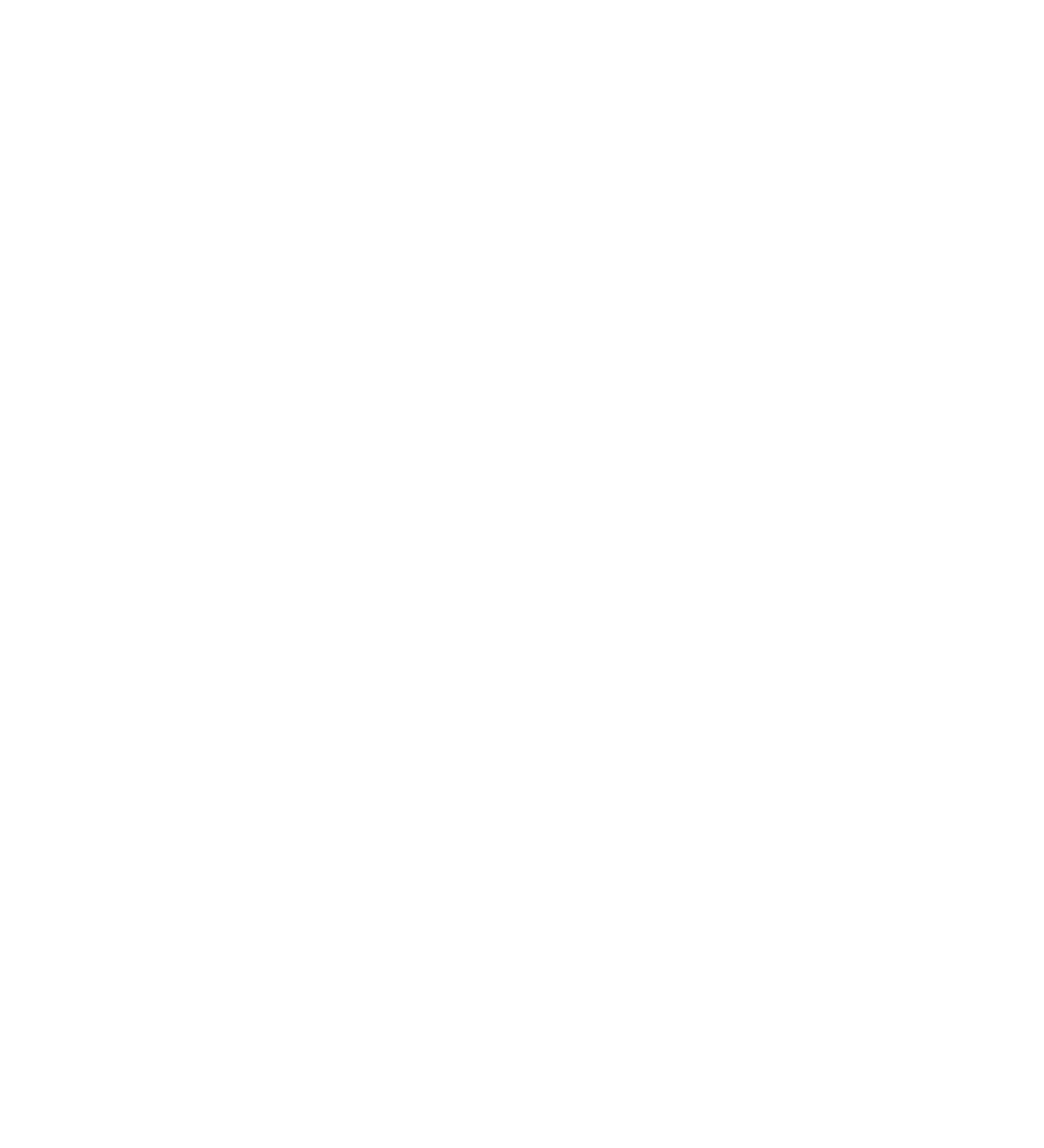 INTO The Beauty
